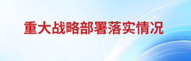重大战略部署落实情况
